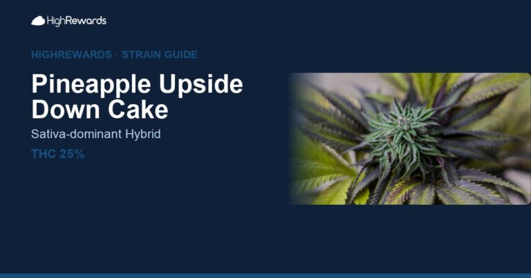 Pineapple Upside Down Cake cannabis strain cover image