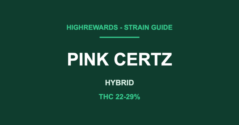 pink certz strain cover