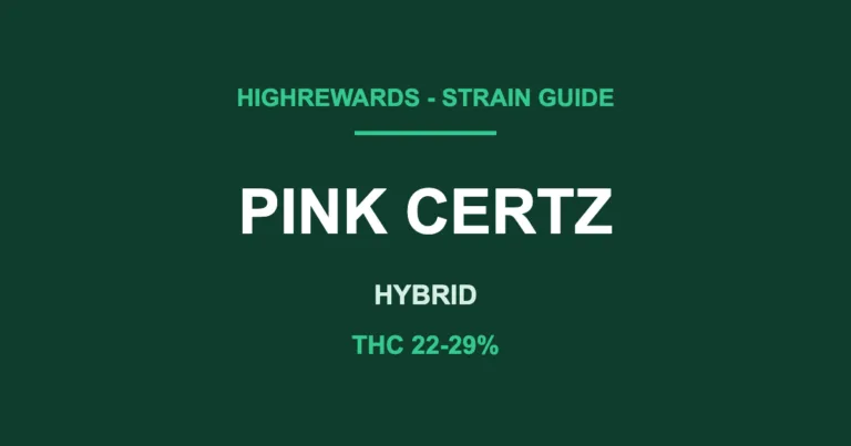 pink certz strain cover