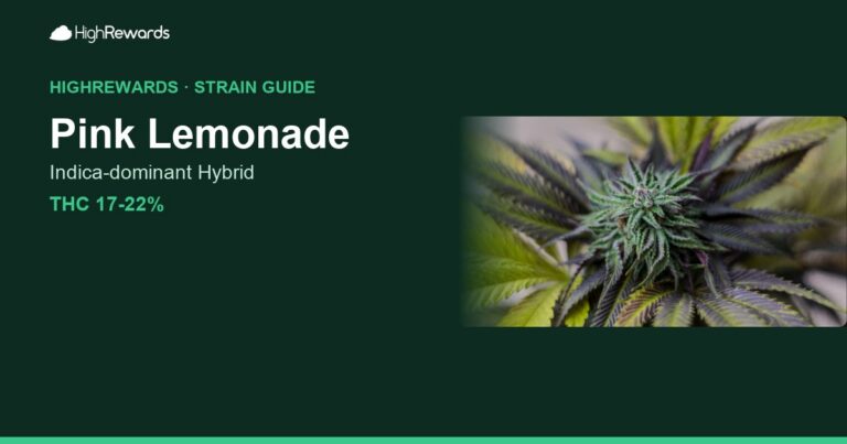 Pink Lemonade cannabis strain cover image