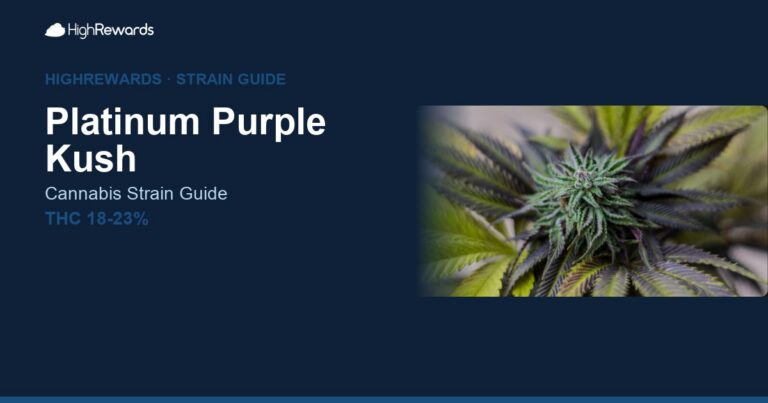Platinum Purple Kush cannabis strain cover image