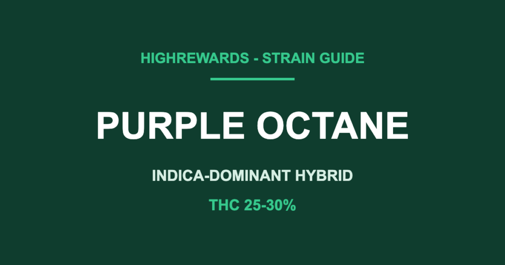 purple octane strain cover
