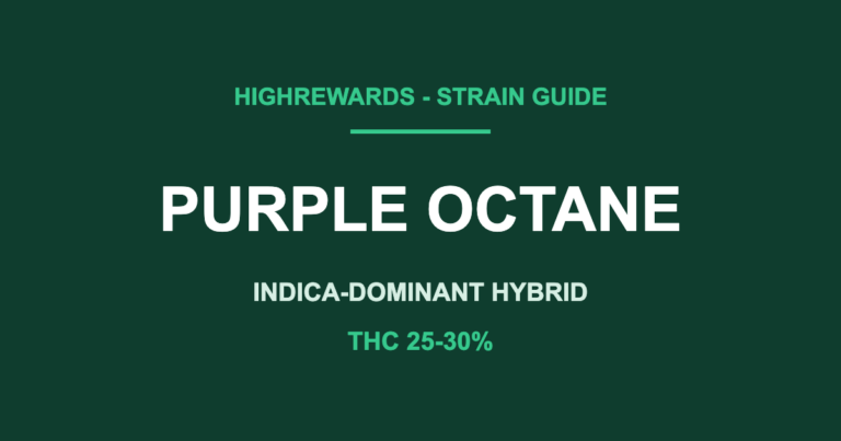 purple octane strain cover