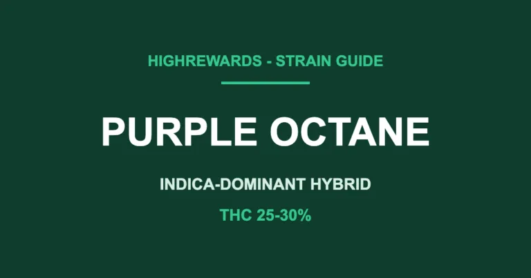 purple octane strain cover