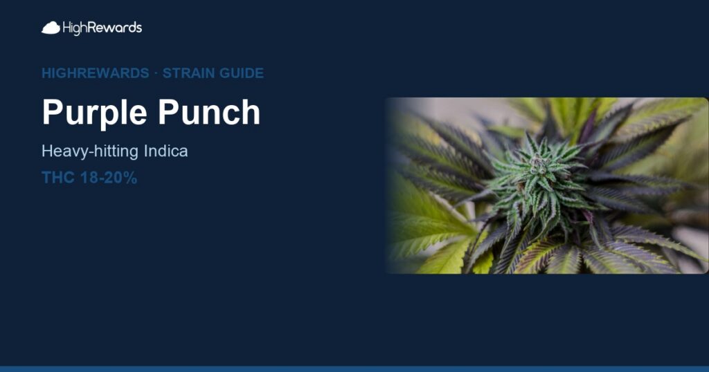 Purple Punch cannabis strain cover image