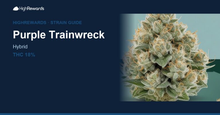 purple trainwreck strain cover