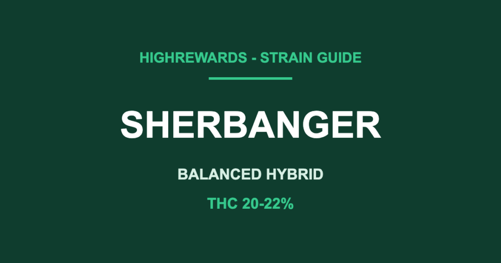 sherbanger strain cover