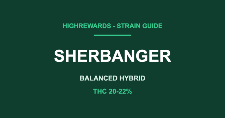sherbanger strain cover