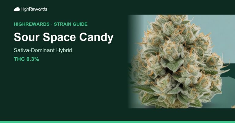 sour space candy strain cover
