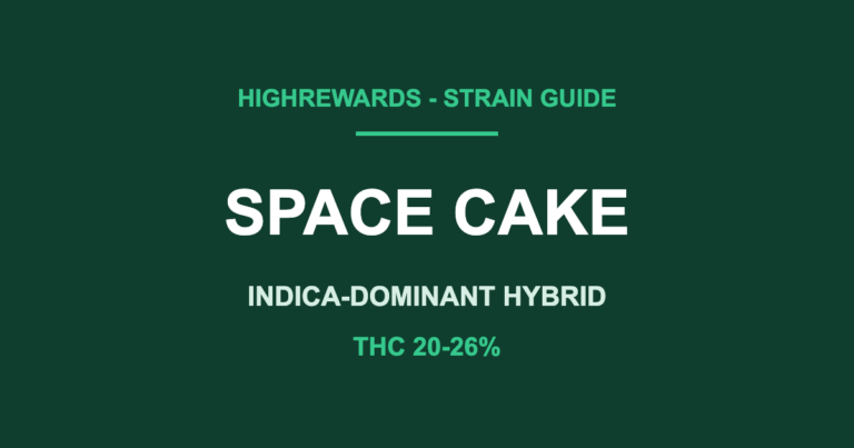 space cake strain cover