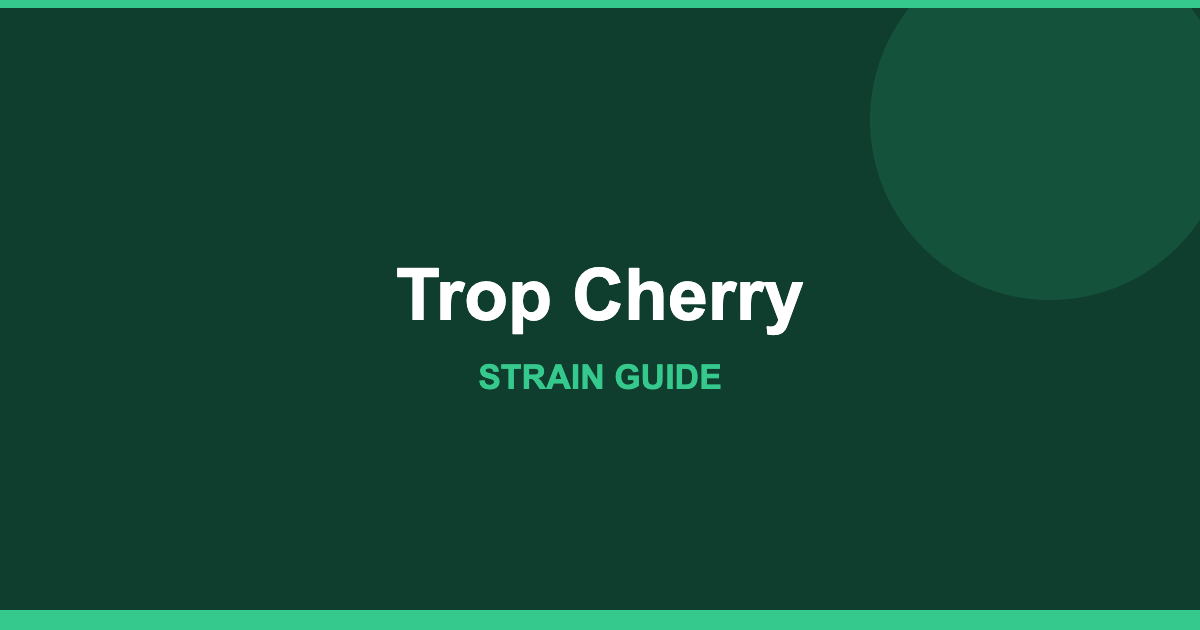 Trop Cherry strain cover