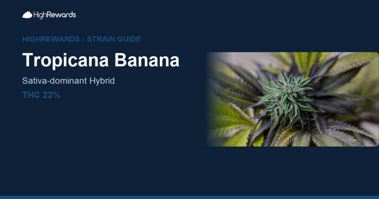 tropicana banana strain cover