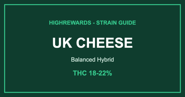 uk cheese strain cover