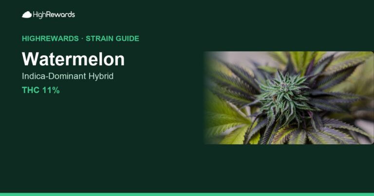 watermelon strain cover