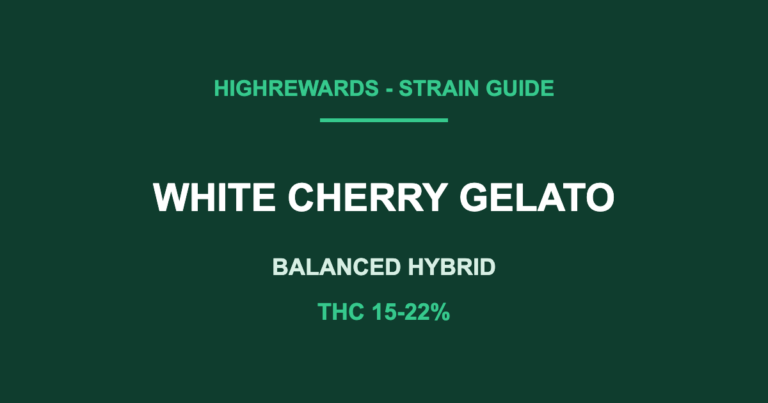 white cherry gelato strain cover