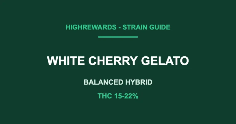 white cherry gelato strain cover