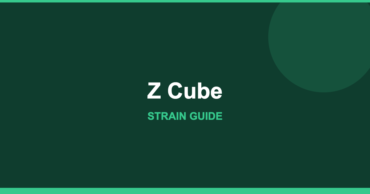 Z Cube strain cover