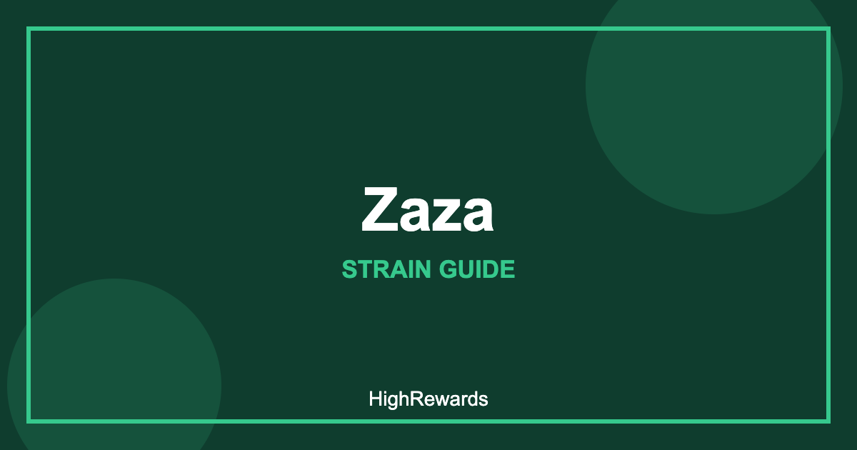 Zaza strain cover