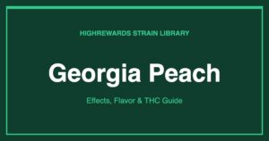 Georgia Peach cannabis strain cover image