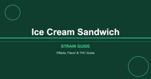 Ice Cream Sandwich strain cover image