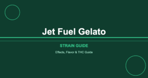 Jet Fuel Gelato strain cover image
