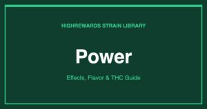 Power cannabis strain cover image