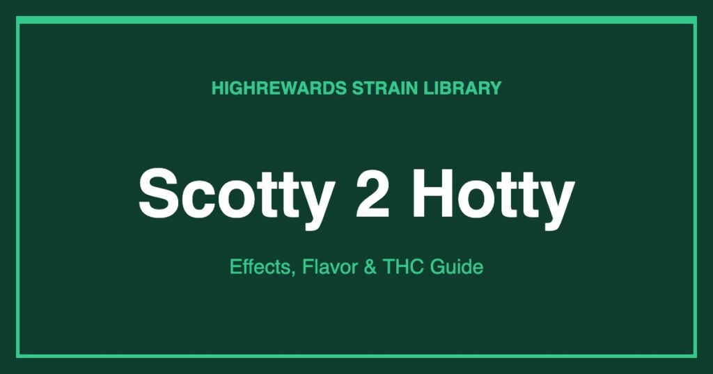 Scotty 2 Hotty cannabis strain cover image