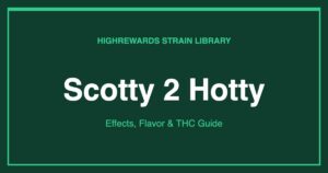 Scotty 2 Hotty cannabis strain cover image