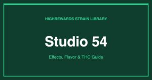 Studio 54 cannabis strain cover image